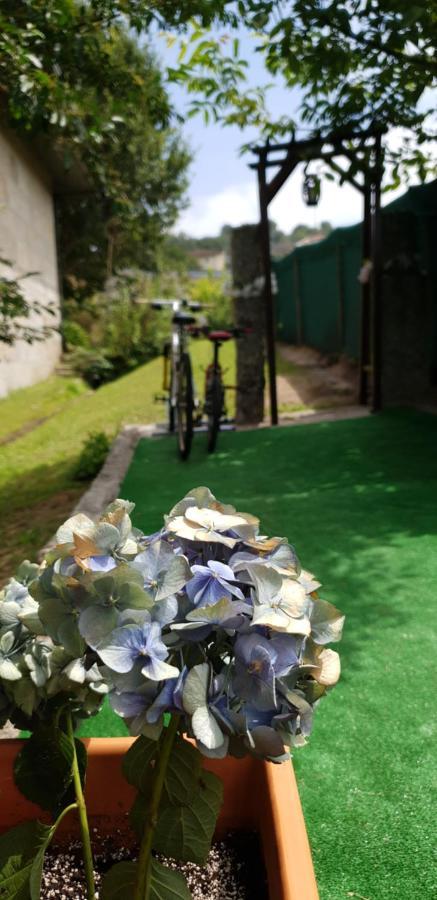 Quinta De Carvalhal - Casa De Campo Guimaraes Luaran gambar